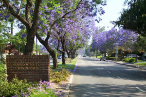 number one pest control claremont ca